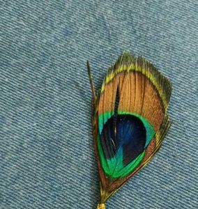 lapel pin