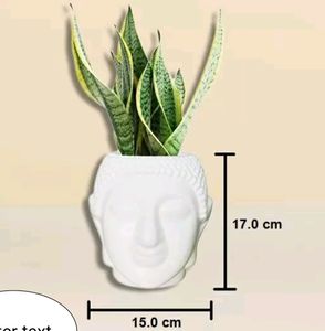 Plastic Buddha Flower