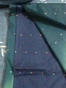 Elegant Green Saree with blouse