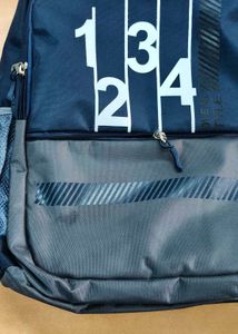Skybags Backpack