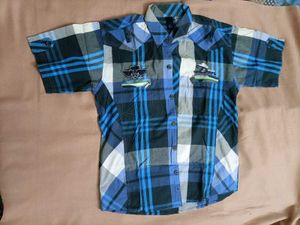 Mens Blue Plaid Button-Down Shirt