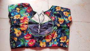 beautiful saree with blouse