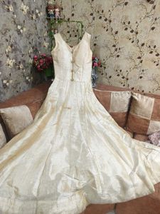 Beautiful Golden Floor Length Gown