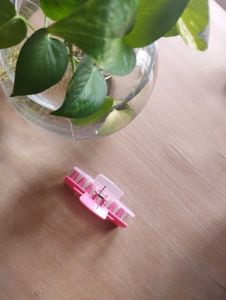 Pink Hair Claw Clip