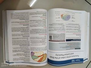 Medical Physiology Textbook - Volume Two