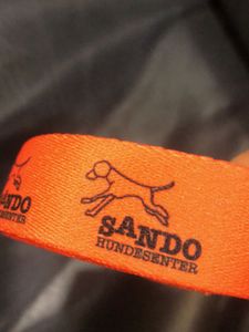 Bright Orange Dog Leash 5 Feet