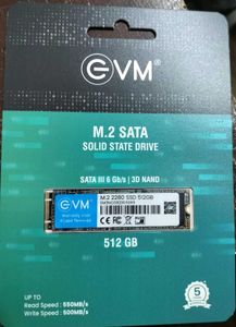 EVM 512GB M.2 SATA SSD