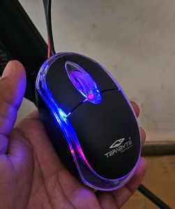 Mouse