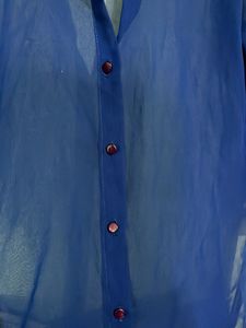 Blue Sheer Button-Down Top