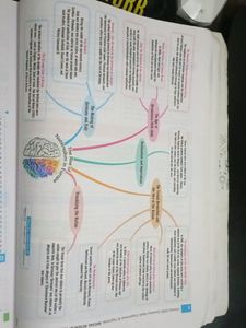 Class 10 Oswaal Social Science(S.S.T)Question Bank