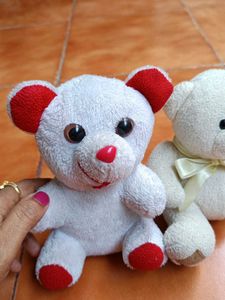 Cute Teddy Bear Duo