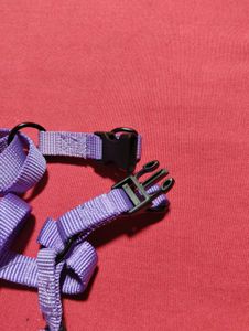 Small Dog Harness