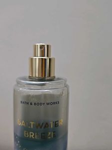 Bath &amp; Body Works Saltwater Mist