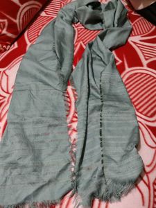 Stylish Green Scarf