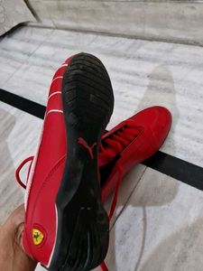Puma Ferrari Theme Sneakers With Box