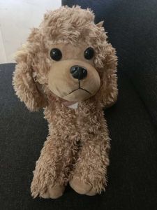 Cute Poodle Plush Toy