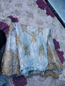 Embroidered Lehenga Choli