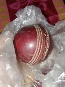 Cricket SG Leather Ball