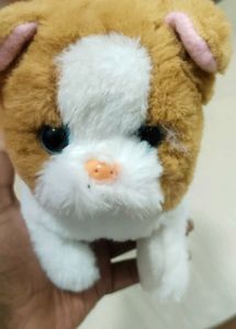 Baby Toy 😺