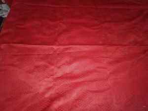 Red Curtain Panel