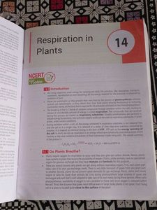 MTG NCERT Fingertips