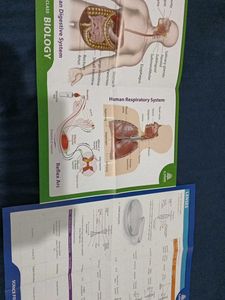 Coloured And Lebelled Charts (2)  Of Class 10Th