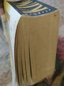 Stephen King Novel - Insomnia