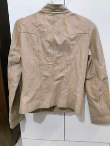 Leather Jacket (Upto Waist Length)