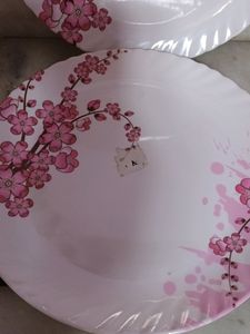 2 Beautiful melamine 🍽 Plates ..