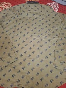 Olive Shirt Like New