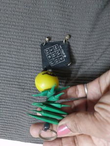 Nimbu Mirch Plastic