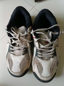 Cricket Shoes