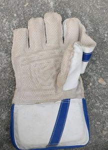 Used Cricket Wicket Keeping Glove