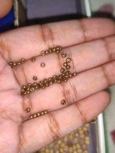 Flower Beaded Earrings