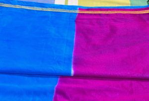 Blue Sari with Blouse