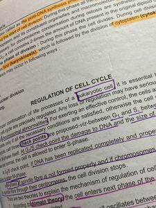 ISC Biotechnology Class XI | NEET level