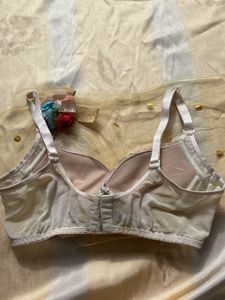 Off White Broadbelt Bra