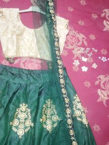 Elegant Green Lehenga Choli
