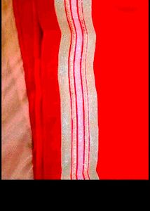 Anarkali Lehnga
