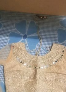 Silks Febric Endo western Lehnga