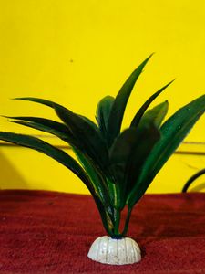 AQUARIUM TREES