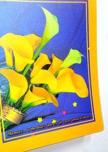 Brand New Photo Album For 40 Piece 5x7 Inch Photos