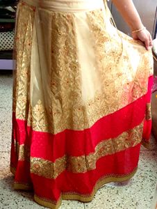 Elegant Ethnic Skirt