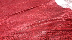 Elegant Red Embellished Gown