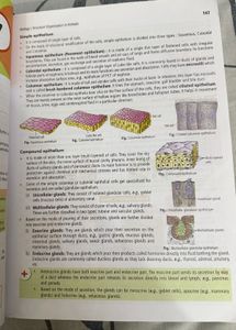 NCERT Fingertips (biology Class 11 &amp; 12)