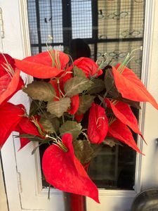 Red Anthurium Arrangement