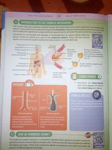 CBSE class 10th Science Learning Book From Byjus