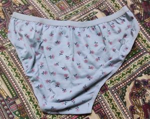 Briefs