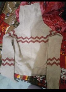 turtle neck sweater