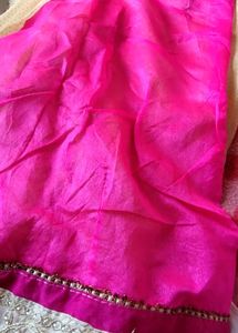 Elegant Pink &amp; Gold net saree